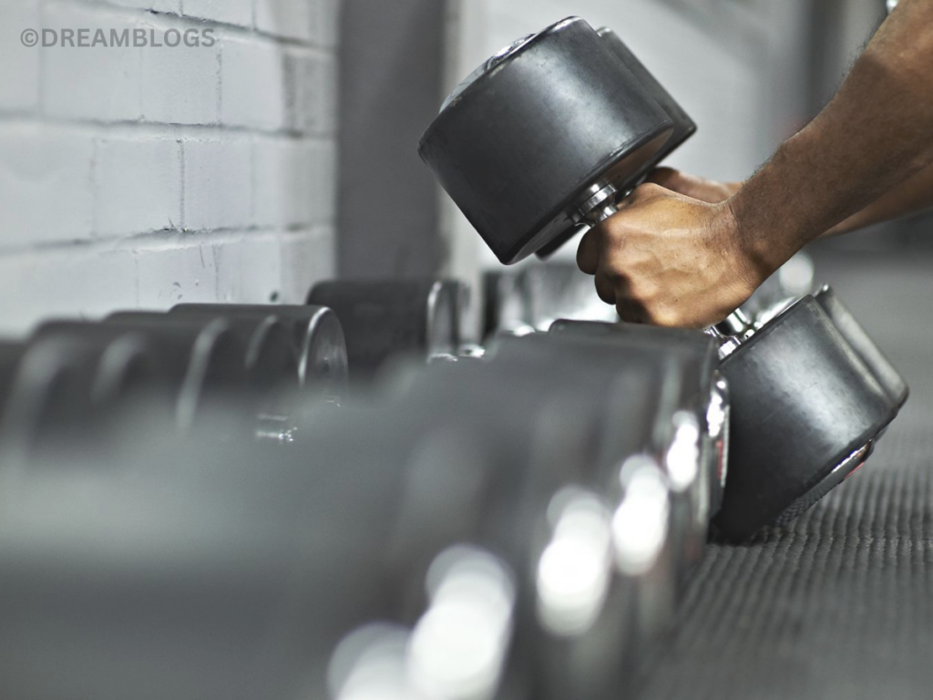 The 6 Best Gym Workouts Plan At The Fitness?